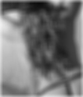 Euskirchen Sexpartner finden LatriciaKSS