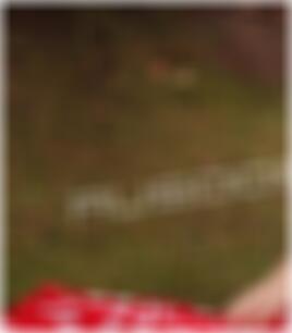 Fickkontakte Elmshorn Paulene