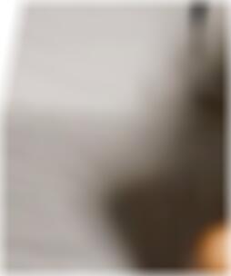 Ingelheim am Rhein private Sexkontakte Tandra