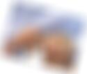 Ingolstadt One Night Stand Bettina