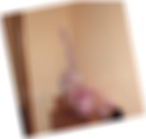 Partnersuche in Nordhorn Jazmine