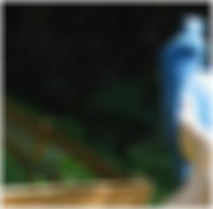 Sexkontakte Singen Billy6967