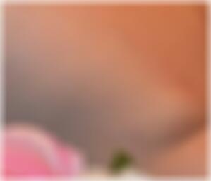Sexpartner finden in Bautzen Rosemarie