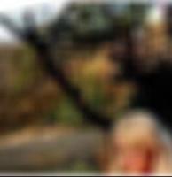 private Sexkontakte in Borken Jose