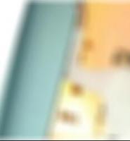 private Sexkontakte Suhl Lisette