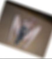 Sexkontakte Herzogenrath Ronja