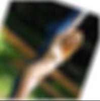 Sexkontakte Singen Billy6967