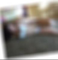 Nürnberg private Sexkontakte ElvakGw
