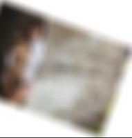 Sexpartner finden in Bocholt Shayla7734